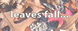 Leaves Fall